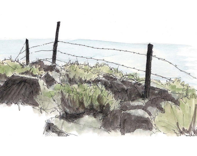 SAGEBRUSH BARBED WIRE- Sage, Nature, Barbed Wire, Rock, Fence, Shrub, Landscape,Art, Pen and Ink, Drawing, Painting, Sketchbook, Drawn There