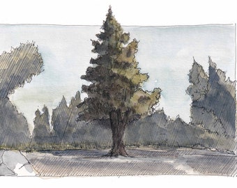 PINE TREE - PNW, Oregon, Forest, Nature, Trees, Ink and Watercolor Plein Air Landscape Painting, Drawing, Art, Sketchbook, Drawn There