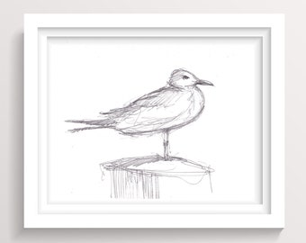 SEAGULL PENCIL SKETCH - Animal Art, Nautical Art, Nature, Ocean, Line Drawing, Giclee Art Print, DrawnThere