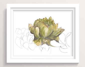 ECHEVERIA SUCCULENT PLANT - Southern California Garden, Flowers, Blossom, Bloom. Plants, Watercolor Painting, Drawn There