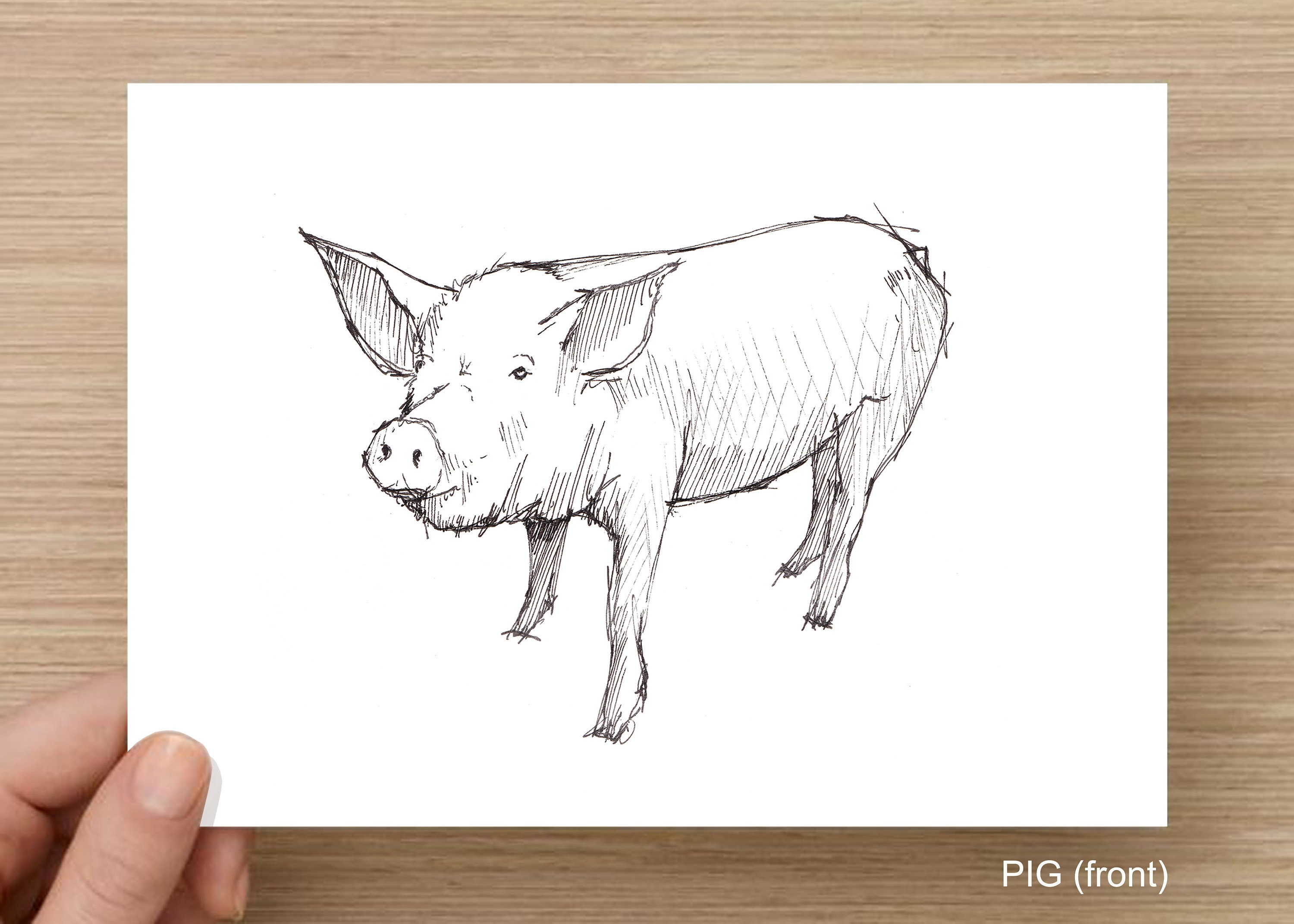 PIG SKETCH - Nature, Farm, Livestock, Animal, Art, Watercolor, Painting, Pen and Ink, Drawing, Sketchbook, Drawn There PIG SKETCH - Nature, Farm, Livestock, Animal, Art, Watercolor, Painting, Pen and Ink, Drawing, Sketchbook, Drawn There