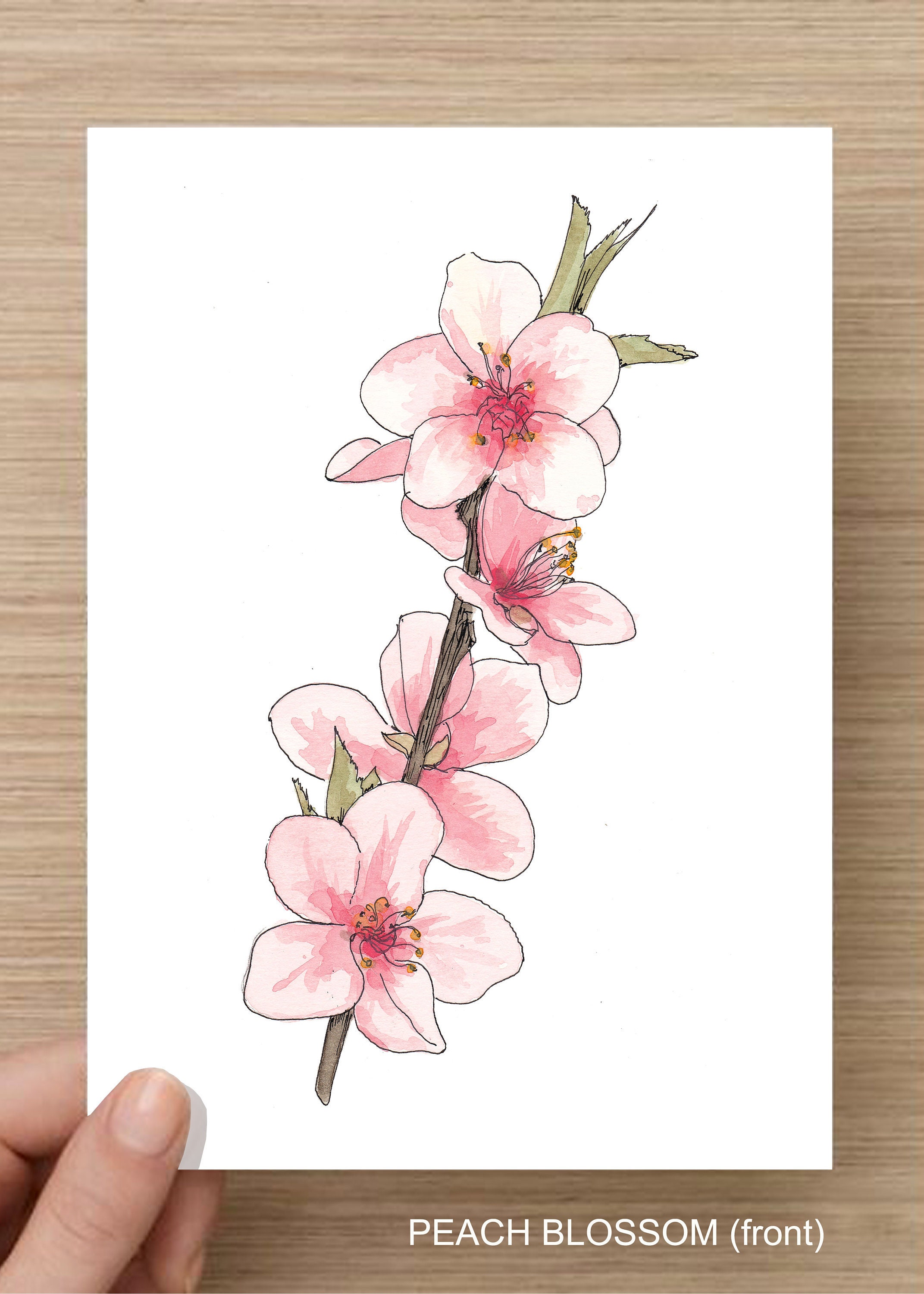 PEACH BLOSSOM FLOWERS - Flower, Tree, Bloom, Pink, Nature, Spring