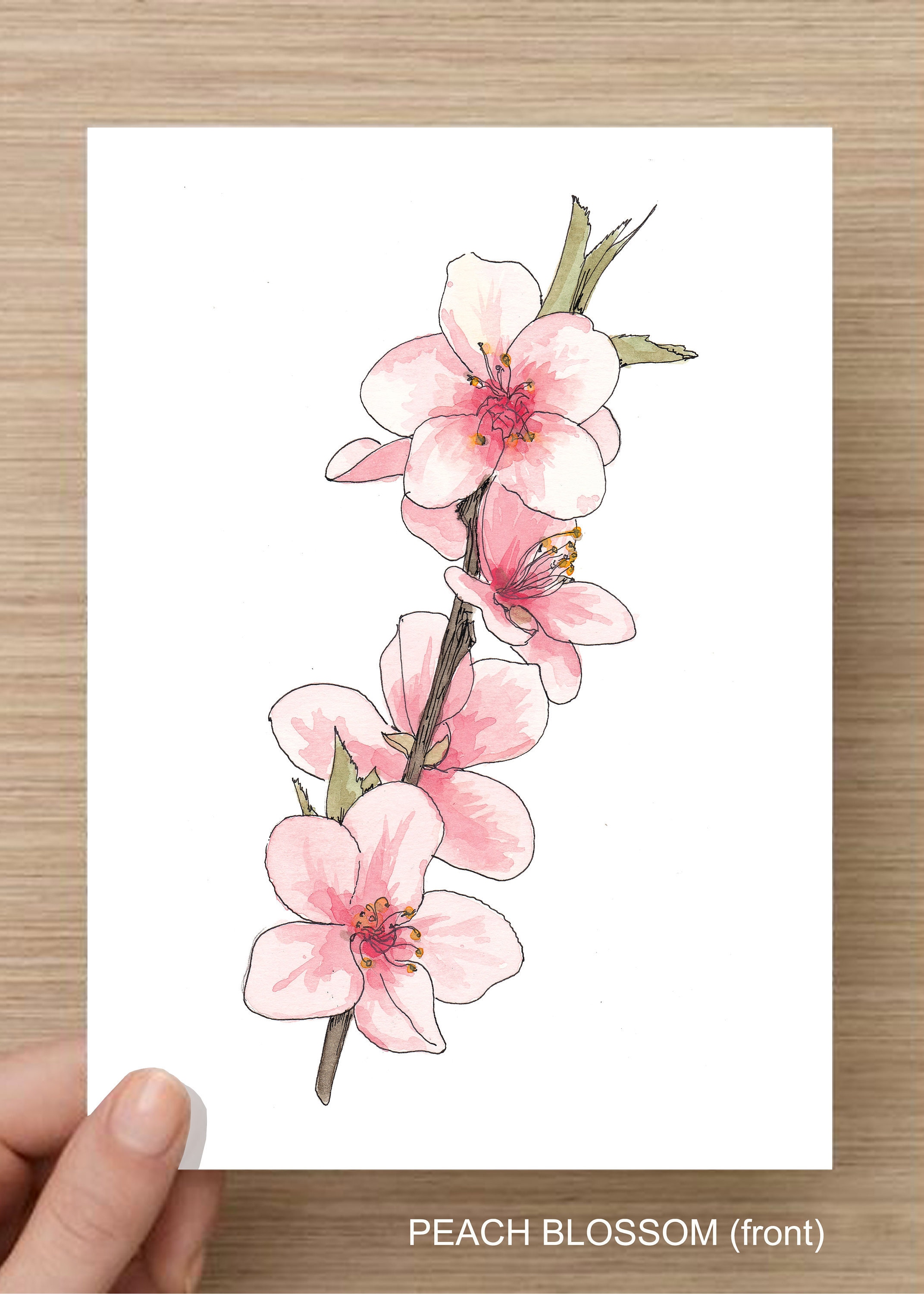 PEACH BLOSSOM FLOWERS - Flower, Tree, Bloom, Pink, Nature, Spring, Floral,  Ink and Watercolor, Painting, Drawing, Sketchbook, Drawn There