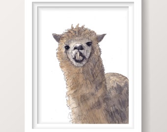 SNAGGLETOOTH ALPACA  - Animal Watercolor Painting, Ugly Animals, Front Profile, Drawn There