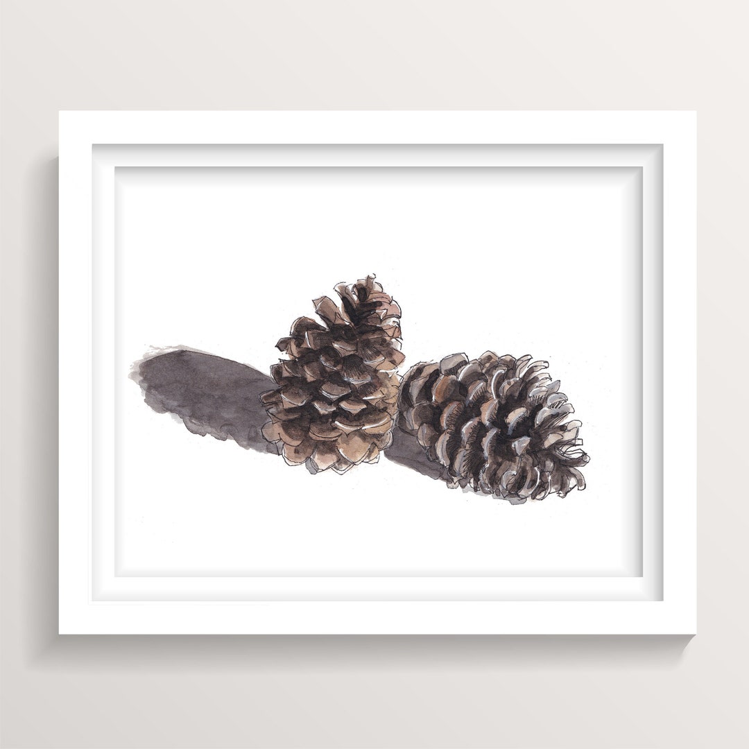 松ぼっくり - 自然の水彩画、松の木、自然のスケッチブックアート