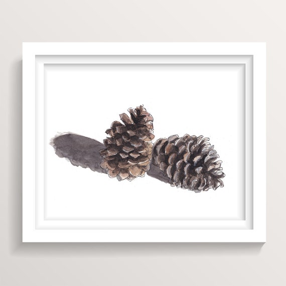 松ぼっくり - 自然の水彩画、松の木、自然のスケッチブックアート