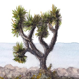 JOSHUA TREE PAINTING - National Park, Landscape, Desert Life, Nature, California, Ink & Watercolor, Drawing, Sketchbook, Drawn There image 2