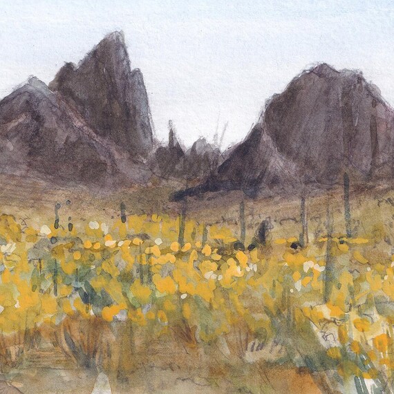 KOFA QUEEN CANYON - コファ野生動物保護区の野生の花、アリゾナ州ユマ