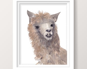 SNAGGLETOOTH ALPACA  - Animal Watercolor Painting, Ugly Animals, Side Profile, Drawn There