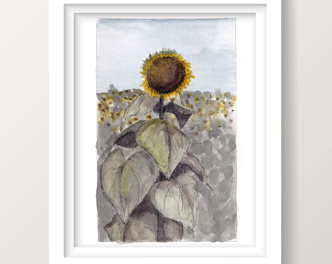 GRINTER SUNFLOWER FARM - Kansas, Flower Farm Field, Nature, Plein Air Ink and Watercolor Painting, Ink Drawing, Art Print, Drawn There