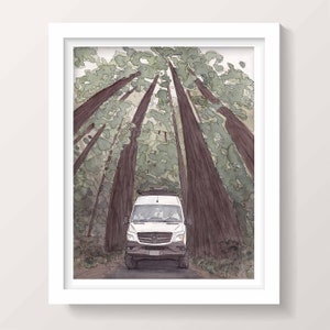 May include: A white van drives through a forest of tall trees. The trees are tall and slender, with their branches reaching up towards the sky. The van is driving on a dirt road, and the sun is shining through the trees.