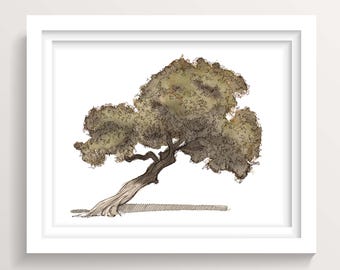 Mission Bay Tree Digital Download – Watercolor Tree Art, San Diego Landscape Sketch, PNG by Drawn There