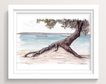 TROPICAL BEACH TREE - Inselleben, Ozean, Jamaika, Tropisch, Schattenbaum, Tusche und Aquarell, Zeichnung, Malerei, Skizzenbuch, gezeichnet