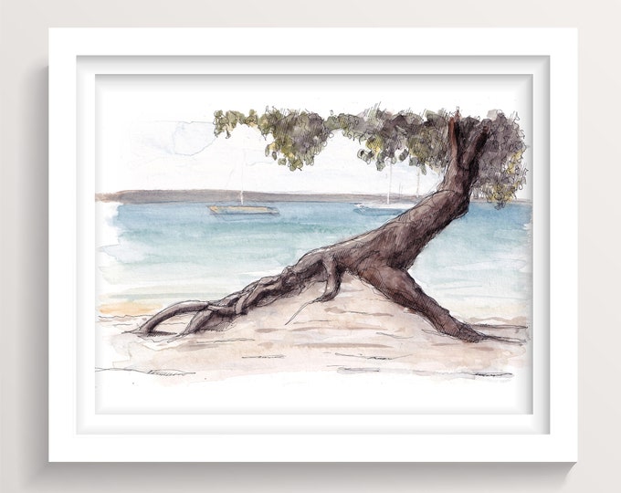 TROPICAL BEACH TREE - Island Life, Ocean, Jamaica, Tropical, Shade Tree, Ink and Watercolor, Drawing, Painting, Sketchbook, Drawn There