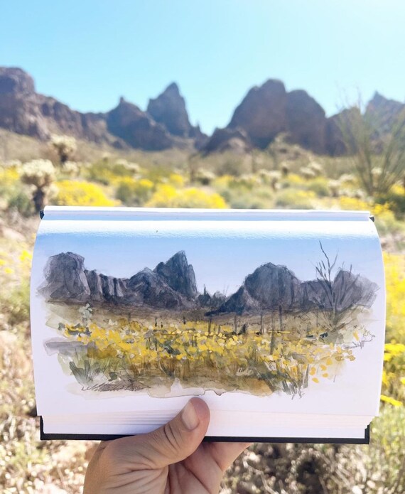 KOFA QUEEN CANYON - コファ野生動物保護区の野生の花、アリゾナ州ユマ