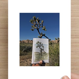JOSHUA TREE National Park Landscape Desert Life Nature - Etsy