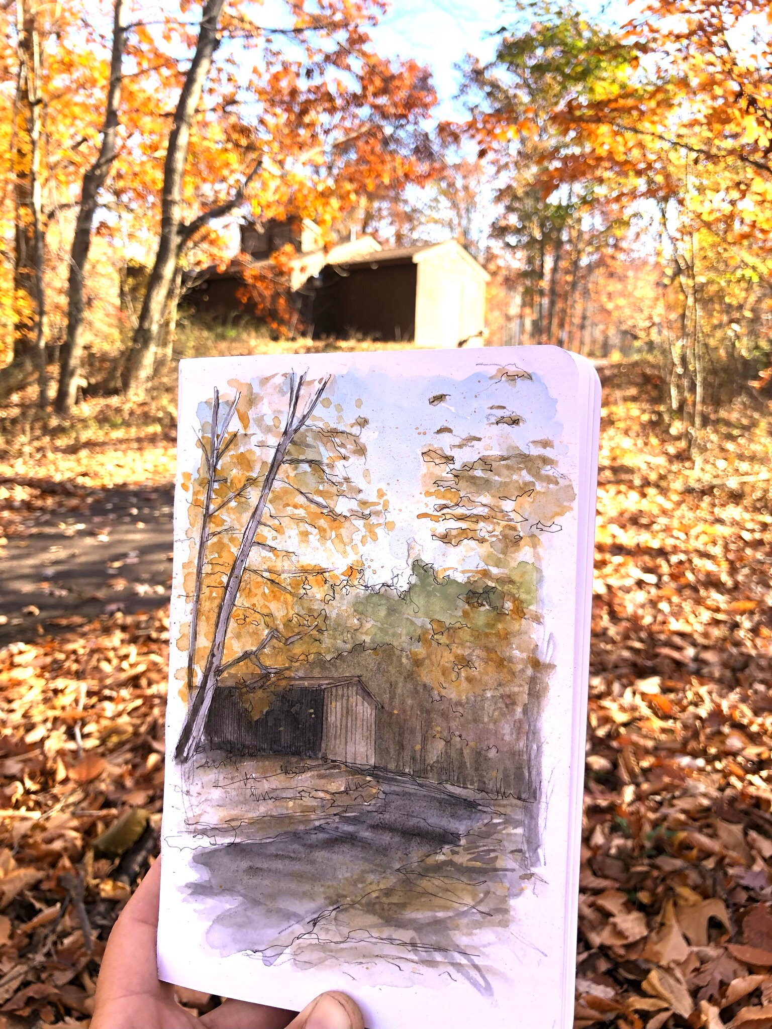 gallery photo