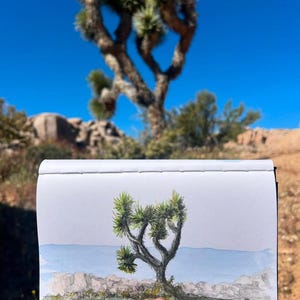 JOSHUA TREE PAINTING - National Park, Landscape, Desert Life, Nature, California, Ink & Watercolor, Drawing, Sketchbook, Drawn There image 3