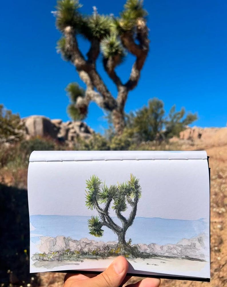 JOSHUA TREE PAINTING - National Park, Landscape, Desert Life, Nature, California, Ink & Watercolor, Drawing, Sketchbook, Drawn There image 3