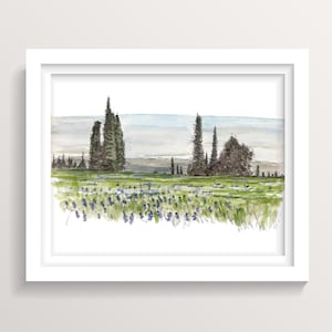 ALPINE WILDFLOWER MEADOW near Cascade, Idaho - Landscape, Summer, Flowers, Ink, Watercolor, Painting, Drawing, Sketchbook, Art, Drawn There