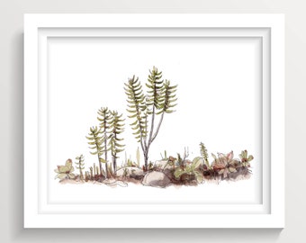 TINY PLANTS WATERCOLOR - Southern California Garden, Flowers, Succulent, Blossom, Bloom. Plants, Watercolor Painting, Drawn There