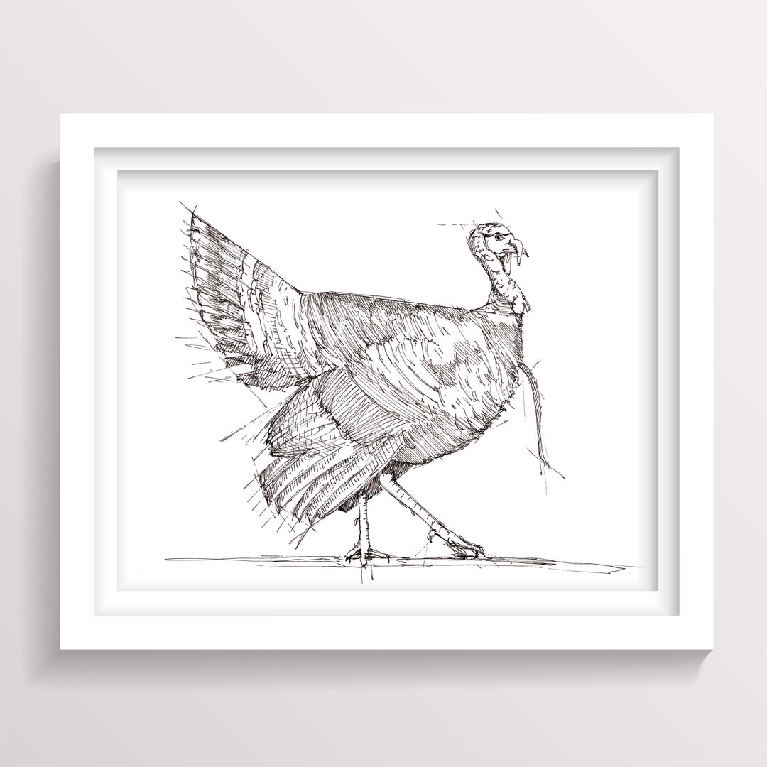 TURKEY HUNTING DRAWING - Pen and Ink Technical Drawing of a Tom Turkey ...