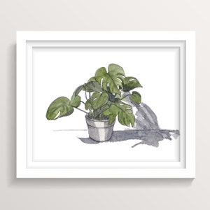 MONSTERA HOUSE PLANT - Ink and Watercolor Painting Art Print, Drawn There