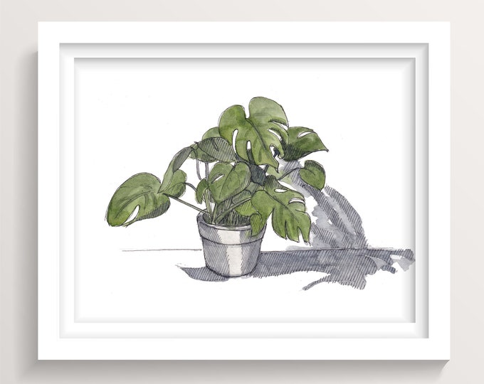 MONSTERA HOUSE PLANT - Ink and Watercolor Painting Art Print, Drawn There