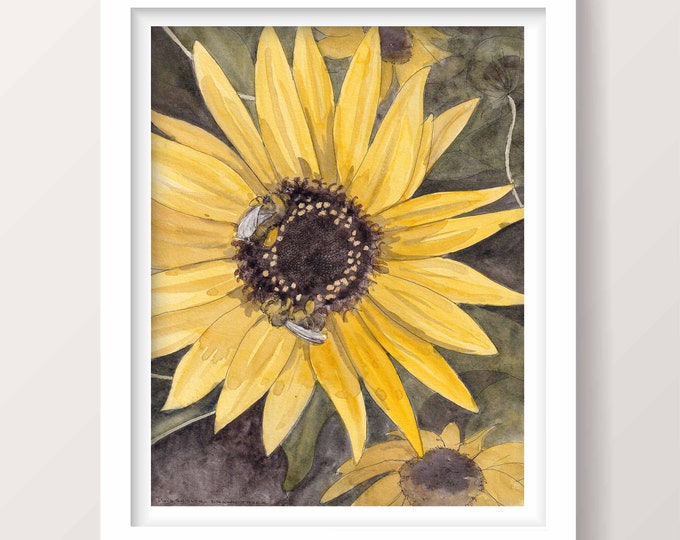 SUNFLOWER AND BEES - Ink and Watercolor Painting, Drawing, Nature Art, Yellow, Honey Bee, Flower, Drawn There