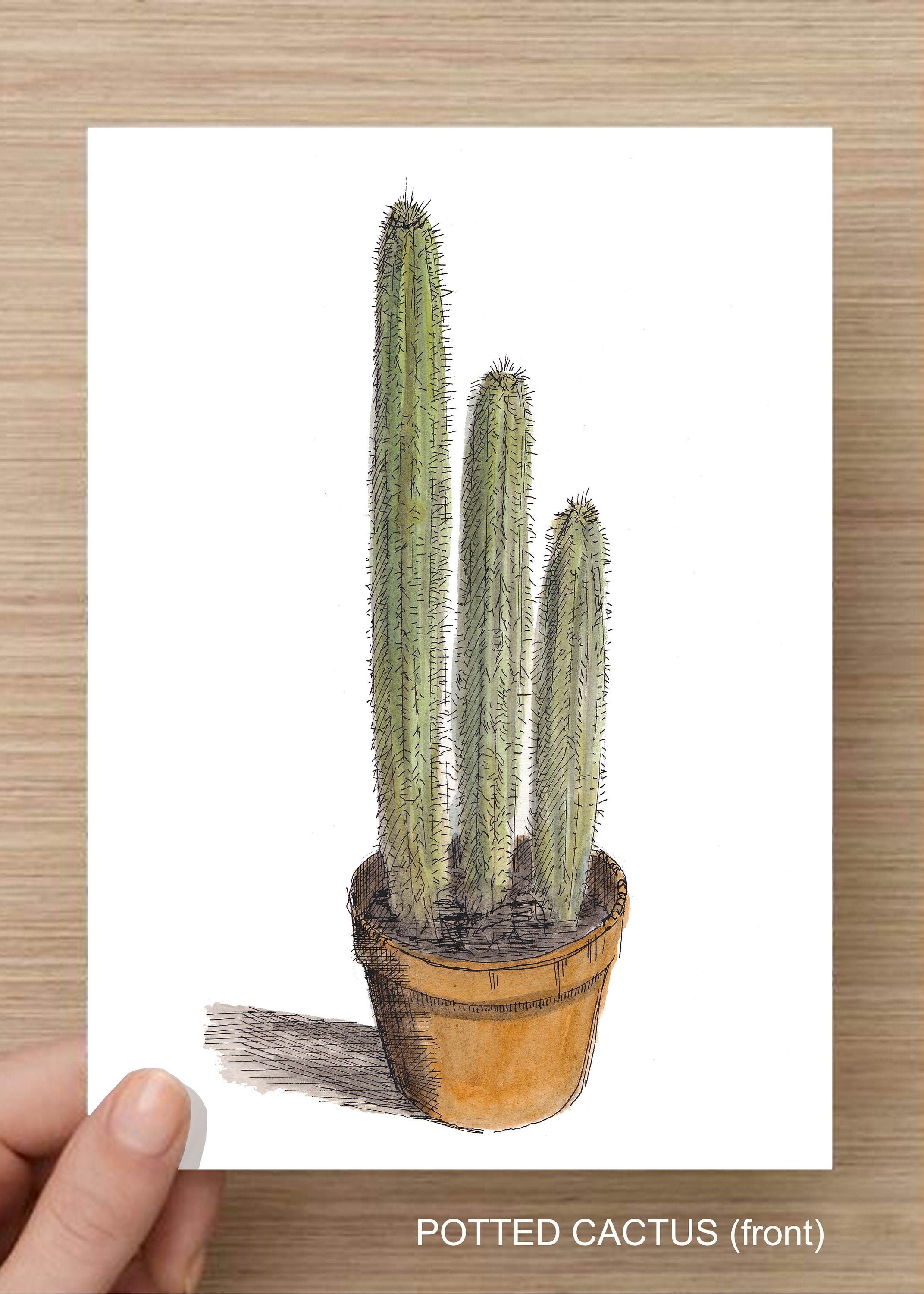 Image result for potted cactus drawing