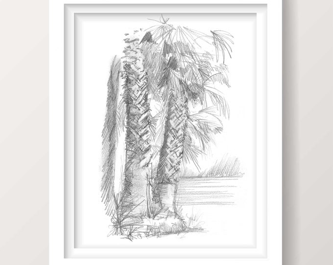 SAN IGNACIO LAGOON - Palm Tree Pencil Sketch Art, Nature Wall Art, Camping rv Road Trip, Baja Mexico, Drawn There