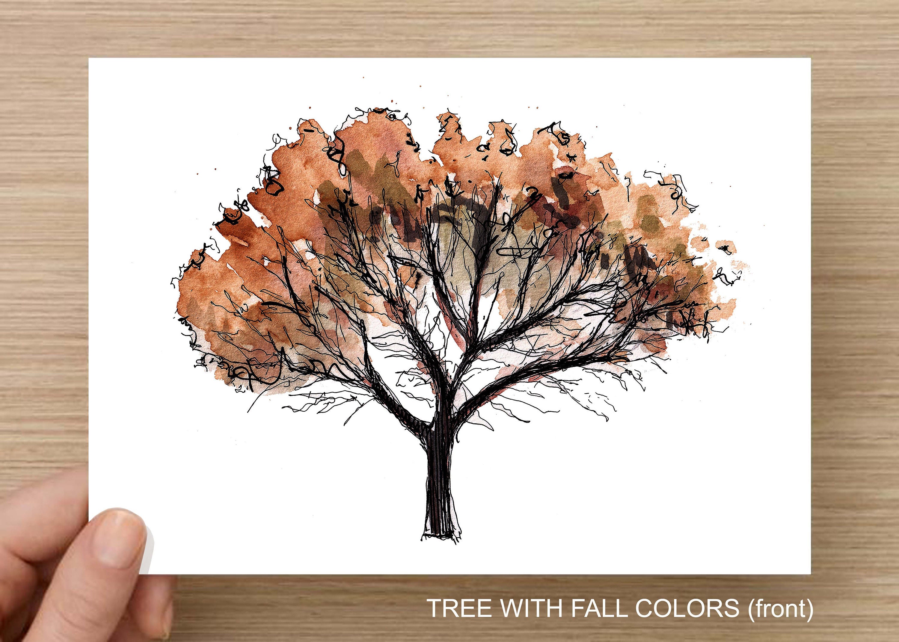 Fall Tree coloring page | Free Printable Coloring Pages