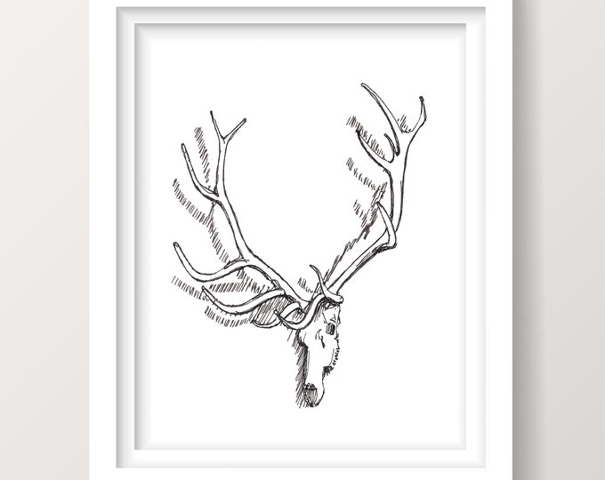 ELK SKULL - European Mount, Antlers, Hunting, Skeleton, Cabin, Mountains, Wildlife, Pen and Ink Drawing, Sketchbook, Art, Print, Drawn There