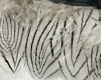 2" Feather Fringe Trim: Off White with Dark Brown Markings, Sold by the Yard