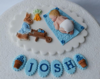 Edible baby boys Peter Rabbit Christening / 1st birthday cake topper. Peter Rabbit cake decoration.