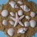 see more listings in the Sea shells and starfish section