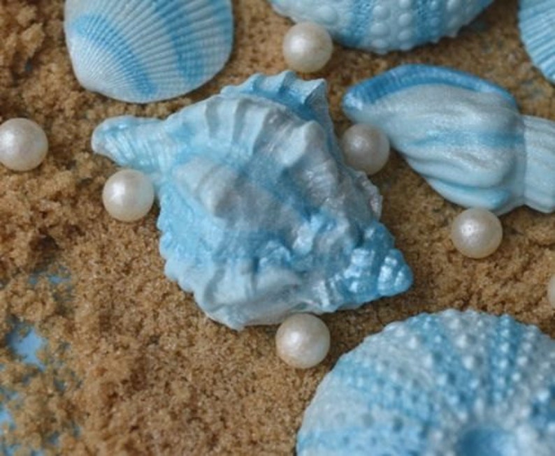 12 Edible Sea Shells. Wedding Cake Topper. Shell Cake Etsy