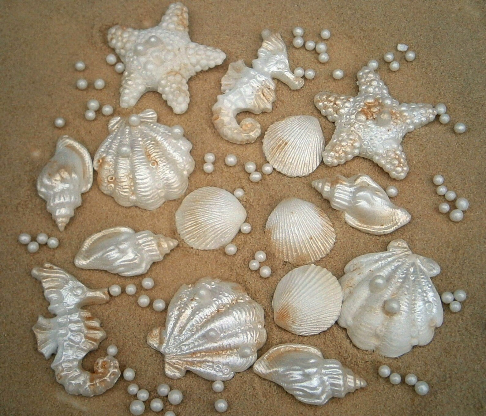 30 Edible Sea Shells With Edible Sand and Pearls. Edible Ivory Etsy