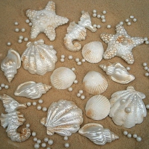 30 Edible sea shells with edible sand and pearls. Edible ivory and gold edible sea shells. Wedding cake topper.