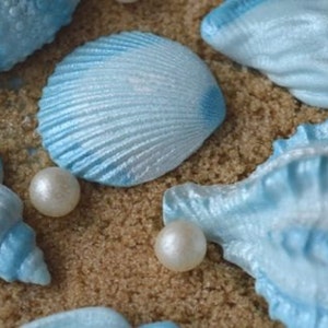 12 Edible sea shells. Wedding cake topper. Shell cake decorations. Wedding cake sea shells. Shells for cakes. image 4