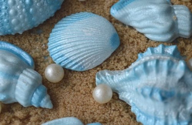 12 Edible sea shells. Wedding cake topper. Shell cake decorations. Wedding cake sea shells. Shells for cakes. image 4