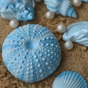 12 Edible sea shells. Wedding cake topper. Shell cake decorations. Wedding cake sea shells. Shells for cakes. image 1