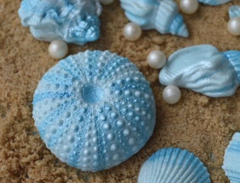 12 Edible sea shells. Wedding cake topper. Shell cake decorations. Wedding cake sea shells. Shells for cakes. image 1