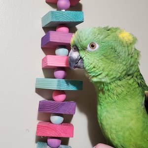 2 pack of Large Parrot Toys