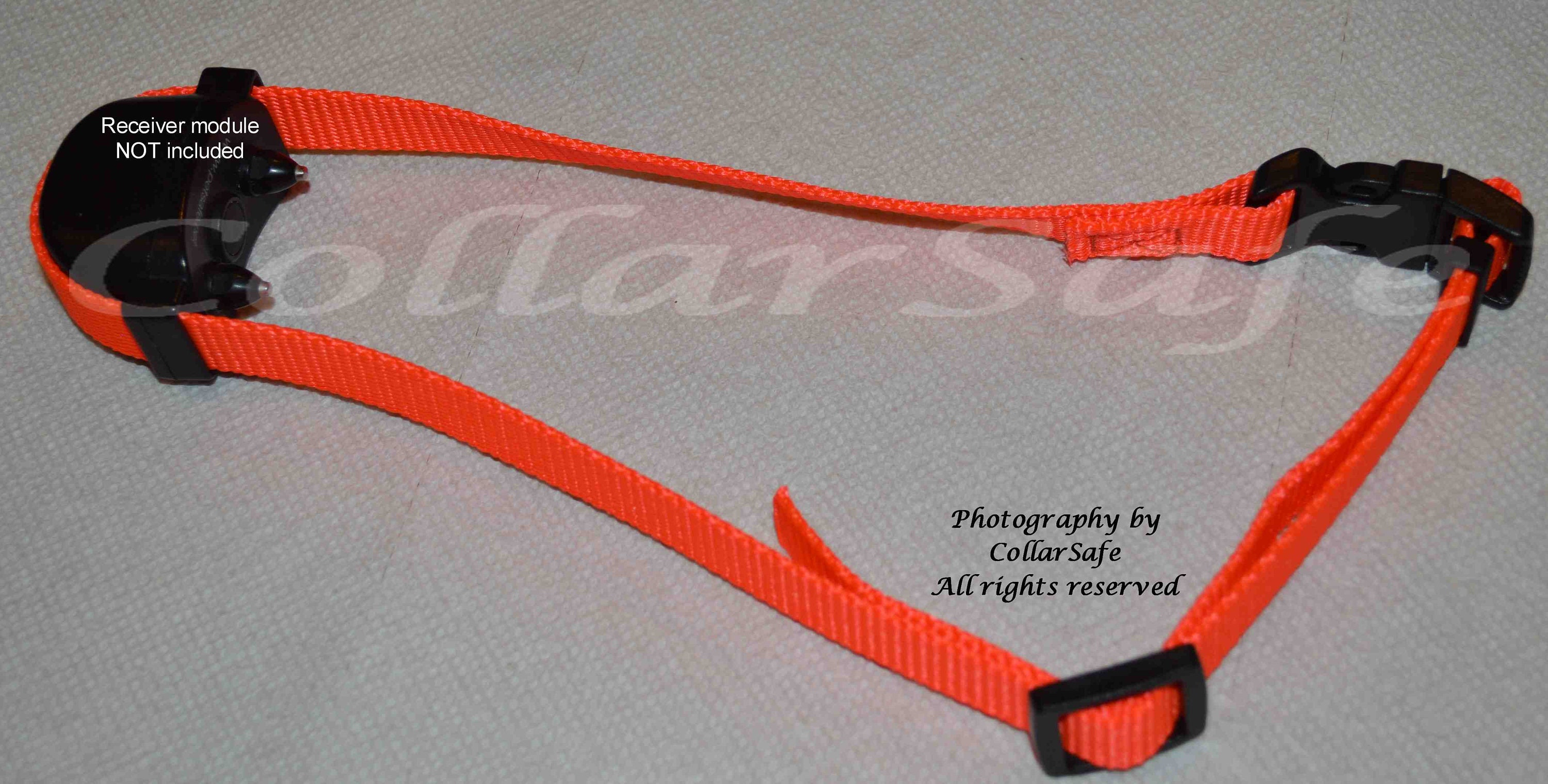 Replacement Nylon Collar FOR Petsafe Stay and Play Containment Etsy UK