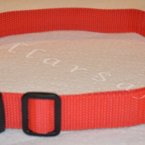 Puede incluir: Collar de perro de nylon rojo con una hebilla de pl&aacute;stico negro y una peque&ntilde;a etiqueta blanca que dice "CollarSafe".