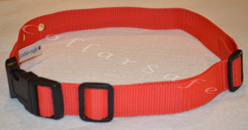 Puede incluir: Collar de perro de nylon rojo con una hebilla de pl&aacute;stico negro y una peque&ntilde;a etiqueta blanca que dice "CollarSafe".