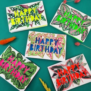 Pacote de cartões de aniversário com 5 cartões florais de néon para plantas de casa, pacote de cartões de aniversário para plantas de casa
