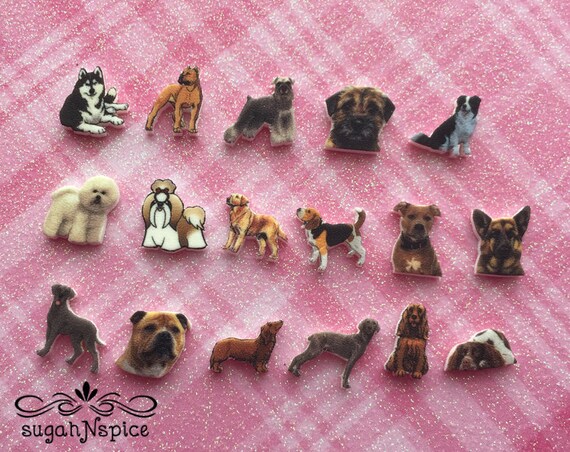 Sled Dog Charm Boxer Charm Pit Bull 