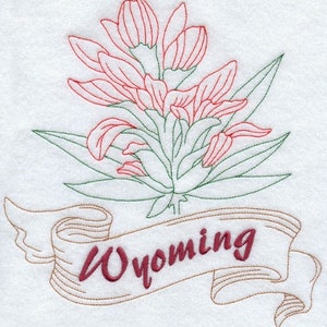 Wyoming - indian paint brush embroidered floursack hand/ dish towel, Wyoming state,Wyoming city , housewarming